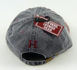 Harvard University cap