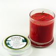 Burgundy Fir Needle Soy Candle