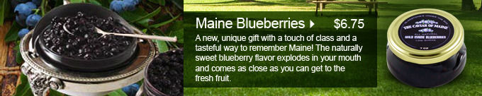 Main Blueberries