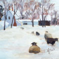 Winter Sheep