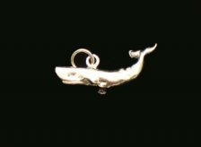 Whale Charm