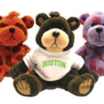 Bear with Boston T Shirt