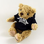 Boston Hoodie Bear 9"