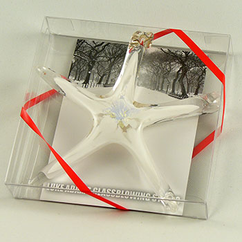 White Holiday Glass Star